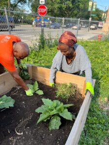 Read more about the article Outstanding Social Service Organization in Chicago